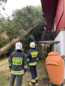 Interwencja OSP Białołęka Łagodna 11