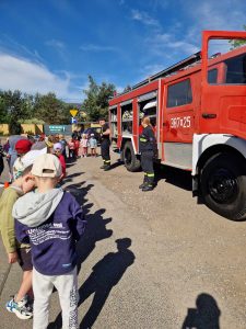 OSP Białołęka - Edukacja w przedszkolach i szkołach